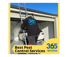 Pest Control in Melbourne