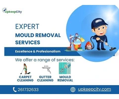 Expert Mould Removal Services | Upkeepcity