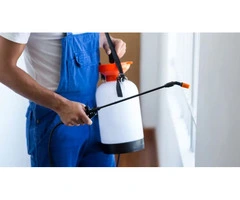 Pest Control Oxenford