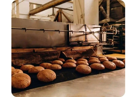 "Bakery Safety And Compliance: Exploring Bakeroo's Work Health And Food Safety Features" - 3/19