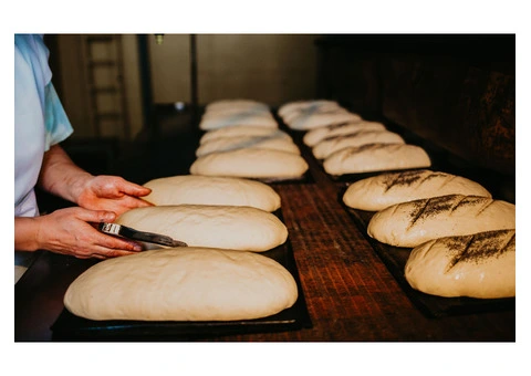 "Bakery Safety And Compliance: Exploring Bakeroo's Work Health And Food Safety Features" - 13/19