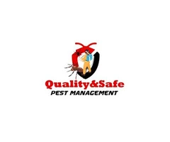 Book Quality Pest Control Services in Sydney Today