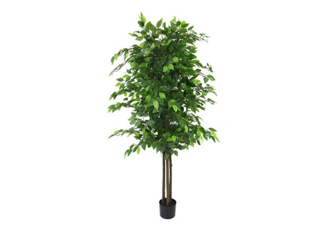 Inspiring Collection of Artificial Ficus Trees Online