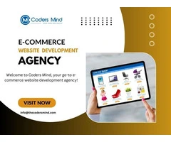 Website Development Company | Expert Web Developer | Coders Mind India