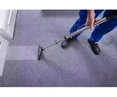 Best Carpet Cleaning In Seaford