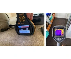 Professional Restoration Services for Water-Damaged Carpet