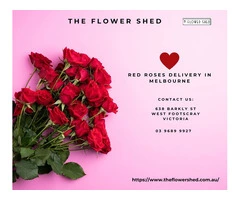 Same Day Red Roses Delivery Melbourne