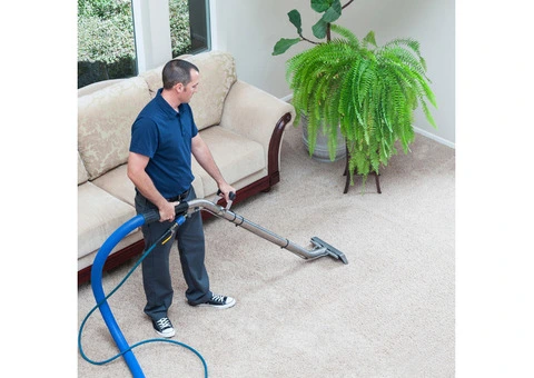 Professional Carpet Cleaning Services in Brisbane