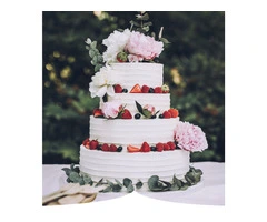 Birthday Party Caterer | Tandooriflamesmelbourne.com.au