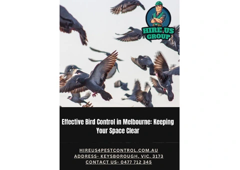 Effective Bird Control in Melbourne: Keeping Your Space Clear