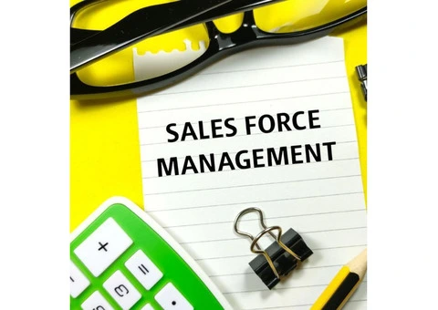 Supercharge Your Business with Intuition Softech's Salesforce Solutions