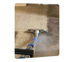 Expert Carpet Cleaning Services in Nollamara