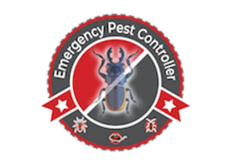 Pest Control Services Geelong