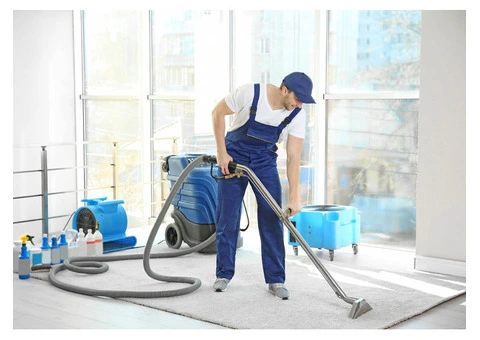 Revitalize Your Carpet with Top Brisbane Cleaners