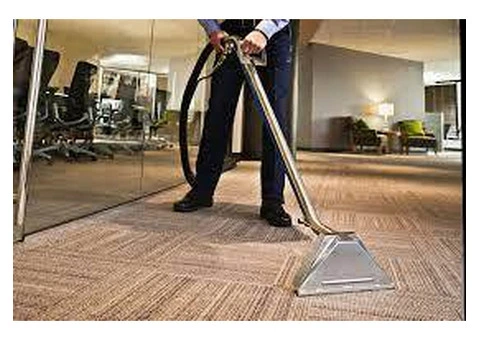 Expert Carpet Cleaning Services in Bayswater