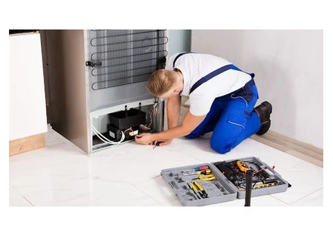 Same-day Fridge Repair Services in Double Bay