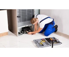 Same-day Fridge Repair Services in Double Bay
