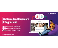 Lightspeed XSeries DubaiStore Integration - sync stock and price information