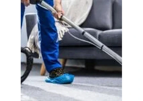 Best Carpet Cleaning In Sydney | KV Cleaning
