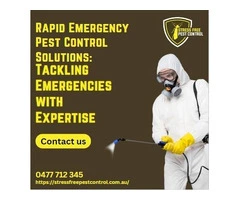 Rapid Emergency Pest Control Solutions: Tackling Emergencies with Expertise