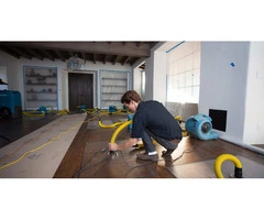 Water Damage Restoration Services in Australia at Cheap Carpet Repair