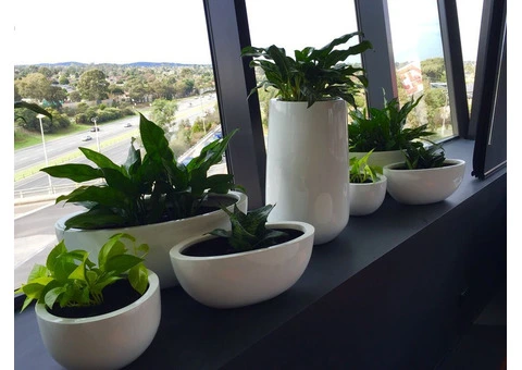 Premier Plant Hire Services in Melbourne