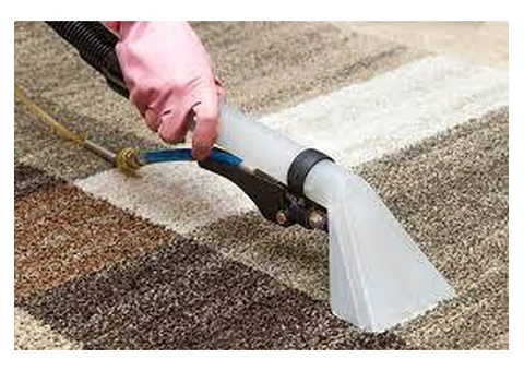 Expert Beckenham Carpet Cleaners for Homes & Businesses