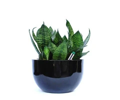 Reliable Plant Hire Services in Melbourne