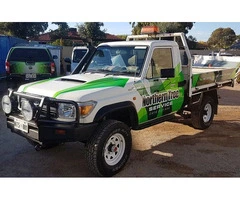 Expert Tree Cutting Services in Adelaide | Northern Tree Services