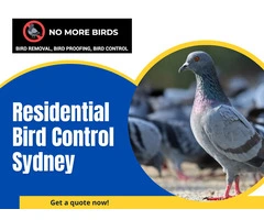Residential Bird Control Sydney