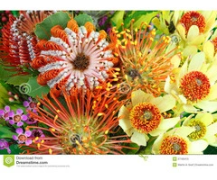 Native Flowers Delivery Melbourne