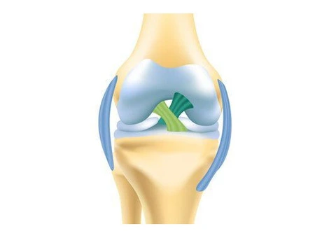 Staying Strong and Stable With Knee Ligament Surgery