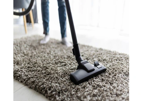 Revitalize Your Space! Professional Carpet Cleaning Services Await You