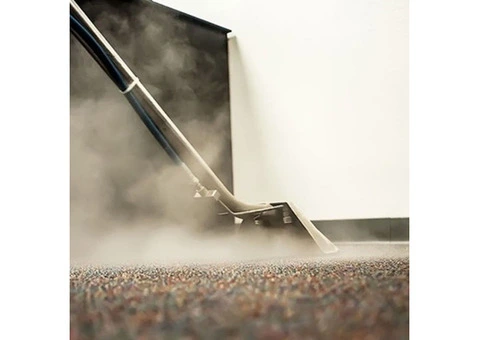 Refresh Your Floors: Professional Carpet Steam Cleaning Melbourne