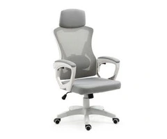 FORTIA Ergonomic Mesh Office Chair Computer Seat with Headrest Adjustable Recline, White/Grey