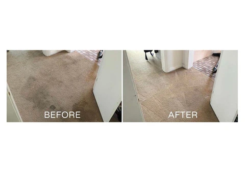 Restore Your Carpet's Beauty with De Vere Carpet and Leather Restorations