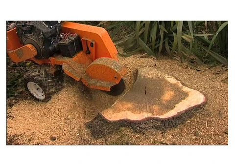 Tree Stump Grinding Batemans Bay
