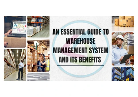 Exploring the Essentials of Traditional Warehouse Management