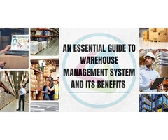 Exploring the Essentials of Traditional Warehouse Management