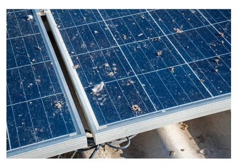 Flawless Protection: Solar Bird Proofing in Sydney by Australian Solar Mesh