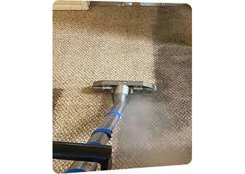 Effective Carpet Cleaning Solutions Nollamara