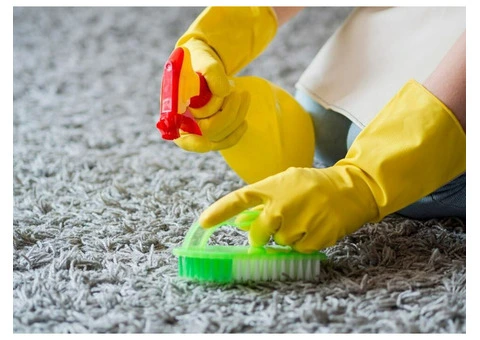 Top Parramatta Lease Cleaning: Affordable Cleaning and Gardening