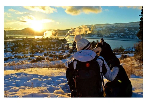 Best App For Travel with My Pet