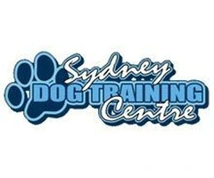 Sydney's Top Dog Training Techniques