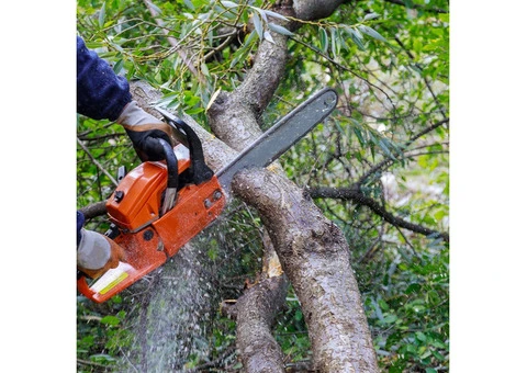 Best tree cutting services in Adelaide