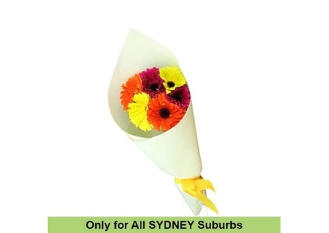 Send Same day & midnight Daisies Flower Bouquets delivery in Australia