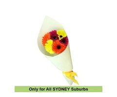 Send Same day & midnight Daisies Flower Bouquets delivery in Australia