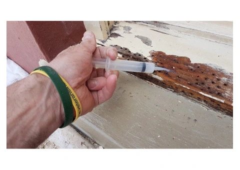 Trying To Find A Wood Rotting Expert In Parramatta?
