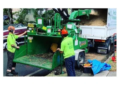 Stump Grinding Sydney