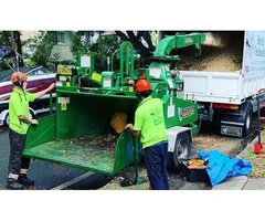Stump Grinding Sydney